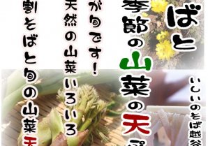 いしいのそば越谷分店富山県産の天然山菜が本日入荷。とても質のよいタラの芽・こしあぶら・こごみが入っております。非常に美味です...